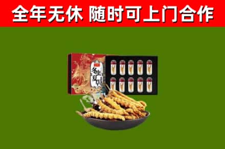 邢台回收冬虫夏草价格